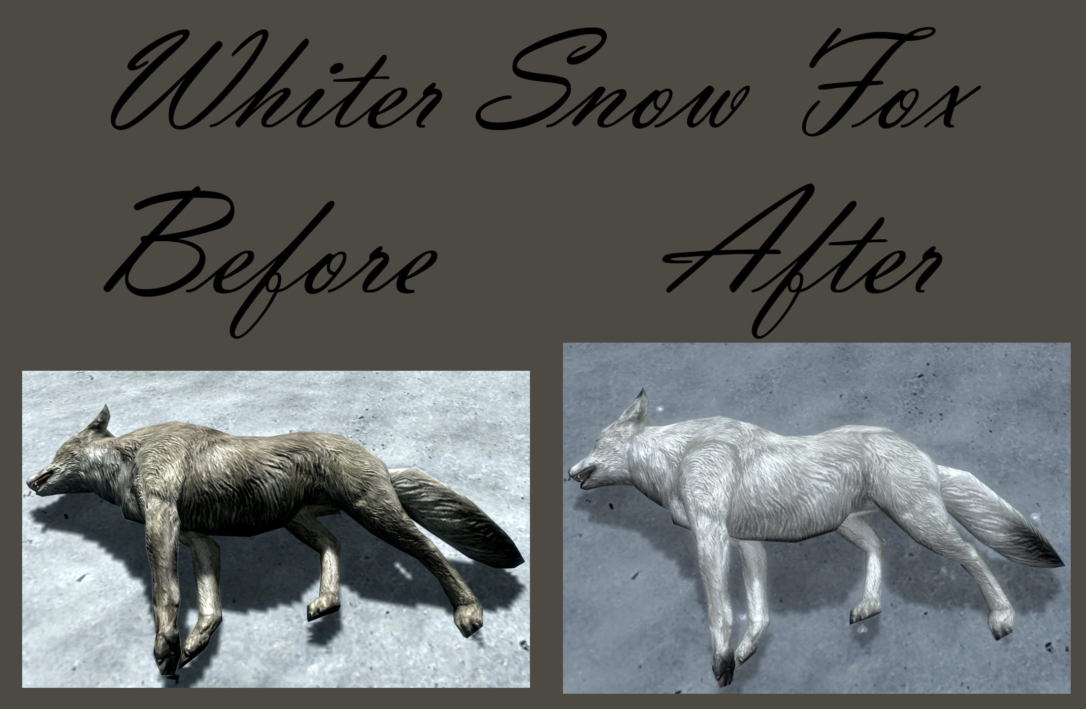 Whiter Snow Fox / Снежная лиса