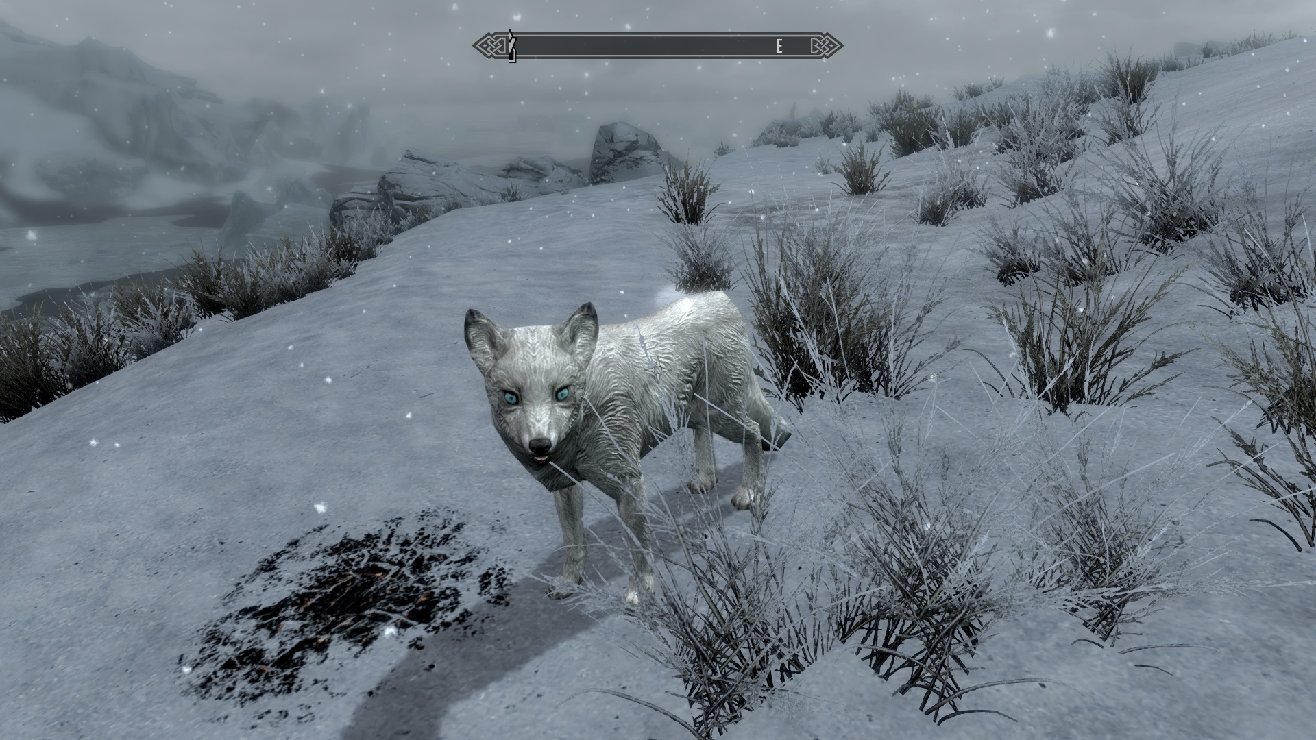 Whiter Snow Fox / Снежная лиса - Визуальные эффекты <!--%IFTH1%0%-->- The  elder scrolls 5: Skyrim<!--%IFEN1%0%--> - Моды - Mods For Games